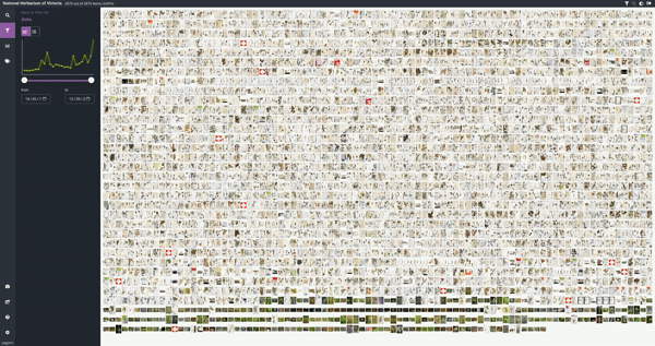 Grid view with colour-coded grouping