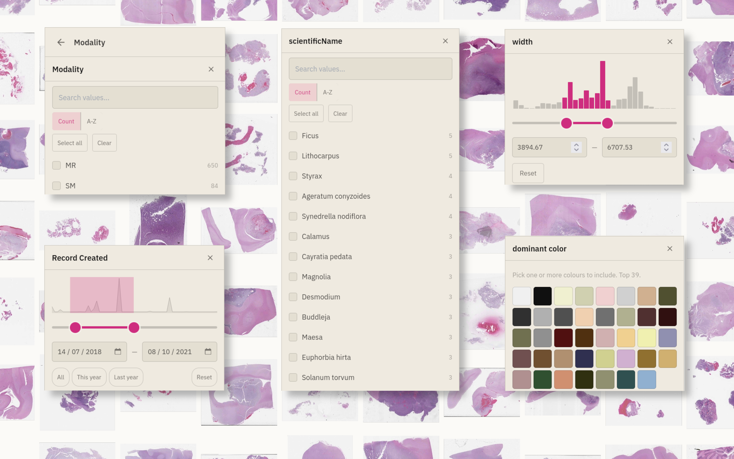 Filter panel with active ranges and facets