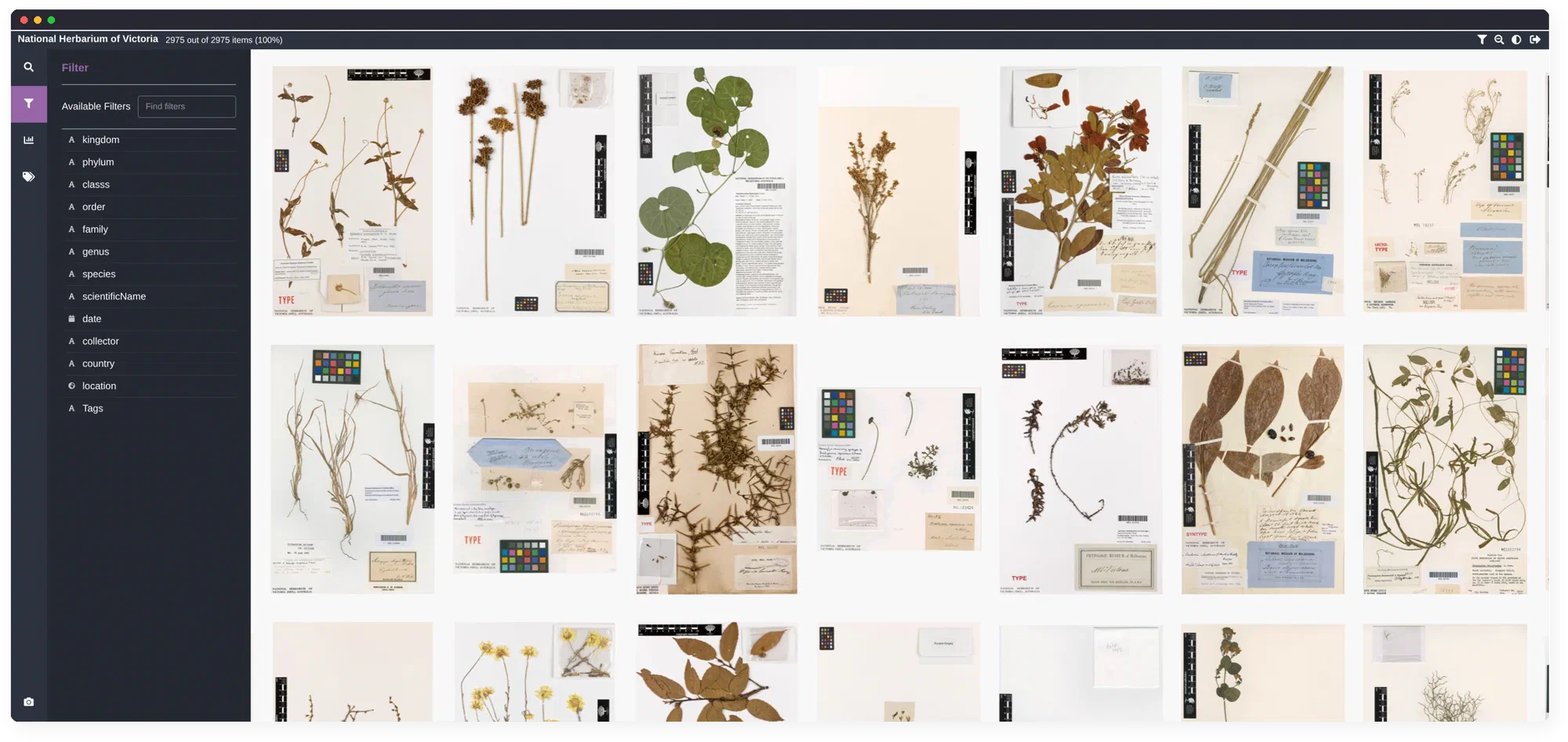 Zegami collection view showing a grid of image tiles with a filter panel